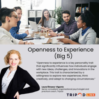 Openness to Experience